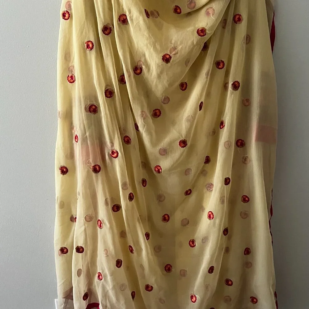 2 piece set, embroidered kameez with Dupatta, Georgette - Picture 4 of 5